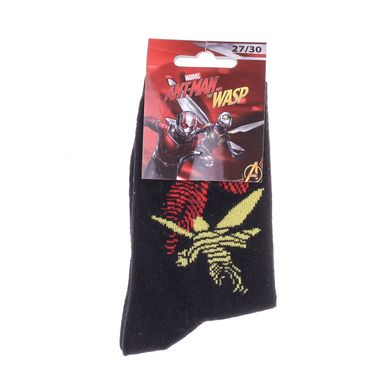 Шкарпетки Marvel Silhouette Of Ant-Man black — 83895348-2, 27-30, 3349610008752