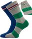 Носки Tommy Hilfiger Men Rugby Sock 2-pack blue/green — 342021001-289, 39-42, 8718824651620