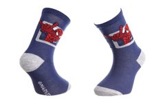 Шкарпетки Marvel Spider-Man Ds Carre blue/white — 43890147-1, 23-26, 3349610003481