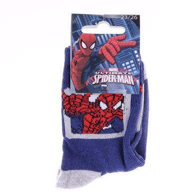 Носки Marvel Spider-Man Ds Carre blue/white &mdash; 43890147-1, 19-22, 3349610003474