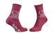 Шкарпетки Hello Kitty Sitting On A Knot 1-pack burgundy — 13849551-6, 35-41, 3349610000411