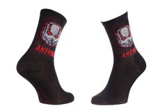 Шкарпетки Marvel Tete Ant-Man black — 83895248-1, 35-38, 3349610008509