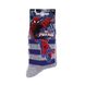 Носки Marvel Spider-Man Fly + Stripes / Head Spiderman 2-pack gray/violet — 83842044-4, 31-34, 3349610006499