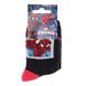 Носки Marvel Spider-Man Ds Carre black — 43890147-2, 23-26, 3349610003504