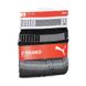 Труси-боксери Puma Worldhood Stripe Trunk 2-pack black/gray/white — 501004001-200, M, 8718824805573
