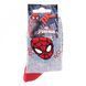 Носки Marvel Spider Man Head Spiderman + Stars gray &mdash; 43890147-3, 19-22, 3349610003511