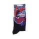 Шкарпетки Marvel Spider-Man In Circle black — 83899920-5, 27-30, 3349610010403