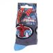 Шкарпетки Marvel Spider Man Bust Spiderman + Spider gray — 43890147-6, 19-22, 3349610003573