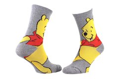 Шкарпетки Disney Winnie Big Plane 1-pack gray — 13893220-8, 36-41, 3349610001050